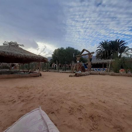 Nuweiba`Sababa Beach Camp住宿加早餐旅馆 外观 照片